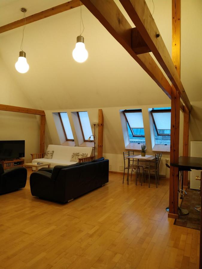 Sunlit Loft Apartment Рига Екстер'єр фото